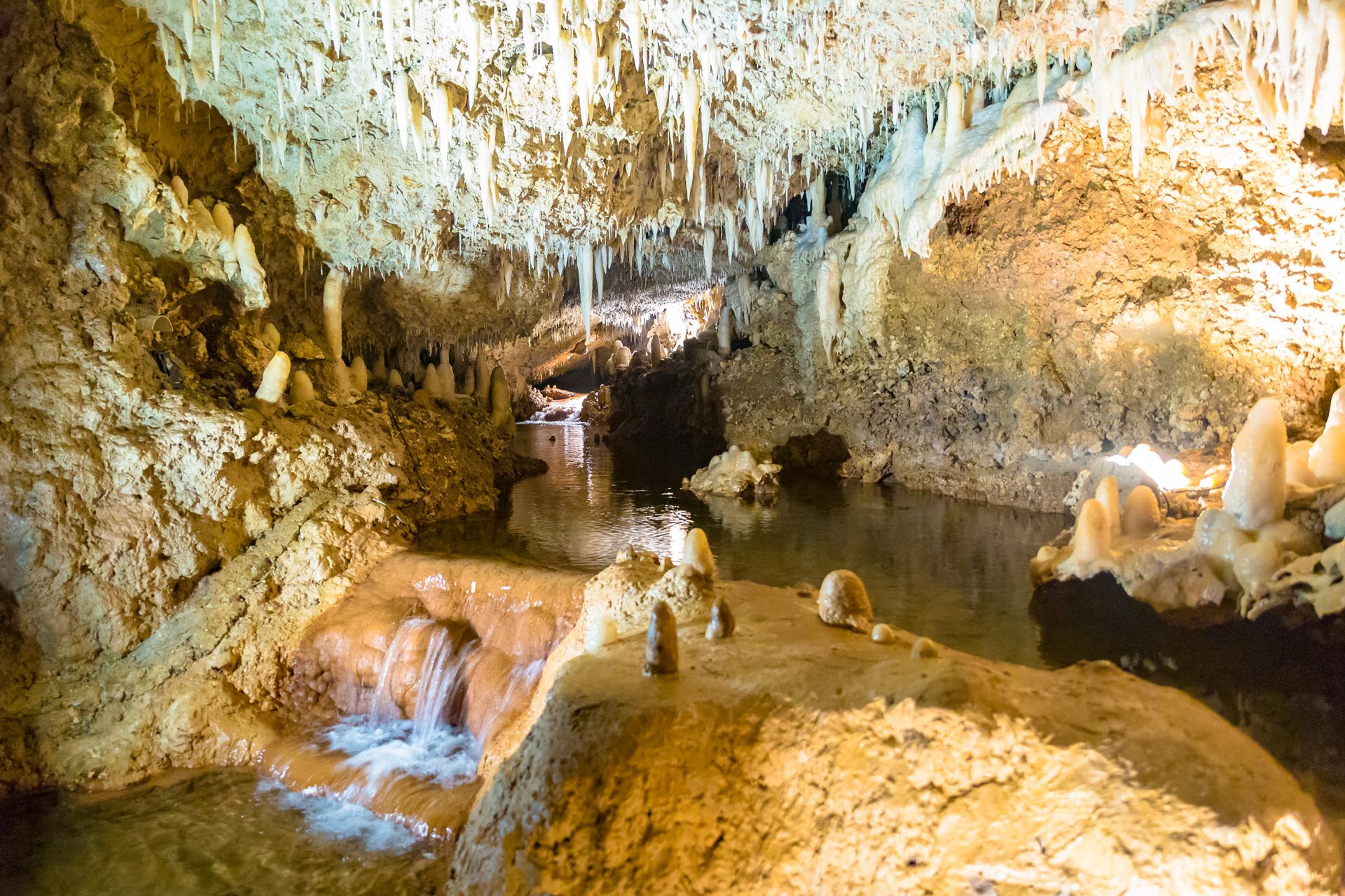 Harrison's Cave Barbados: A Magical Underground Adventure