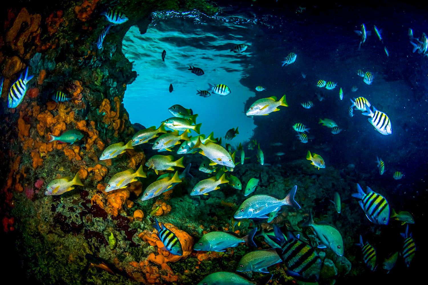 2-Thunderball-Grotto-Exuma-Bahamas-1