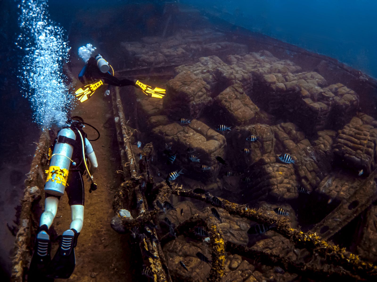 Grenada Scuba Diving Wreck Divers