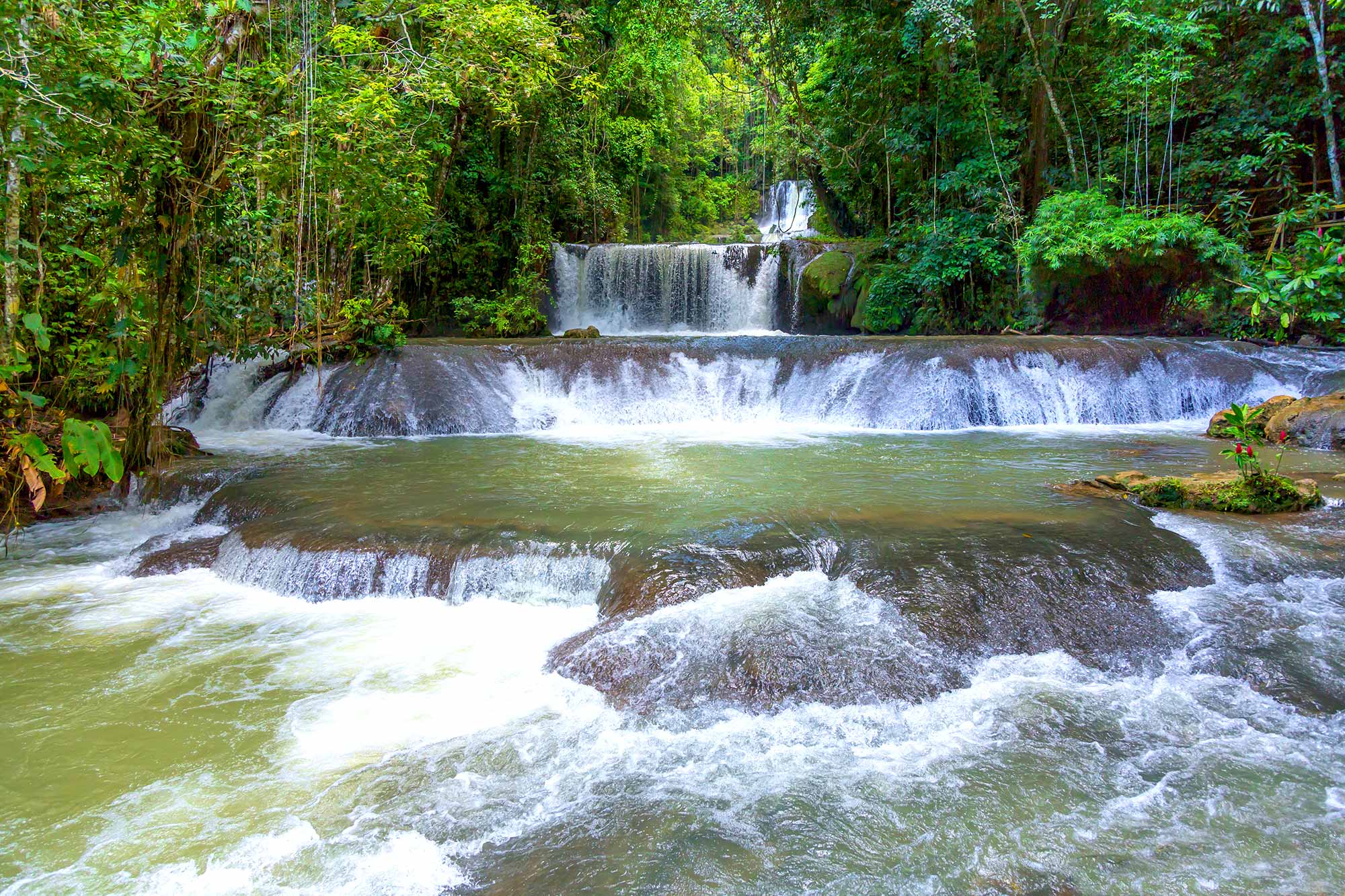 YS Falls, Jamaica: Insider Tips From Local Tour Guides