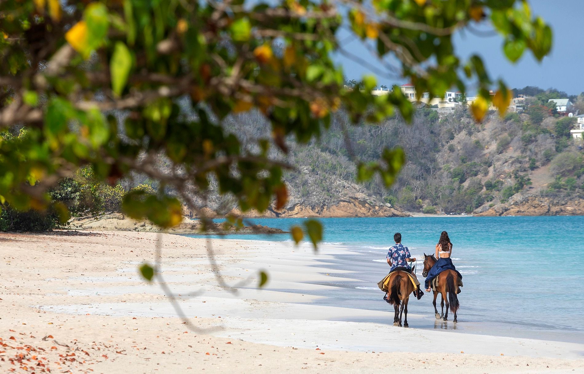 antigua-beach-horse-riding-3