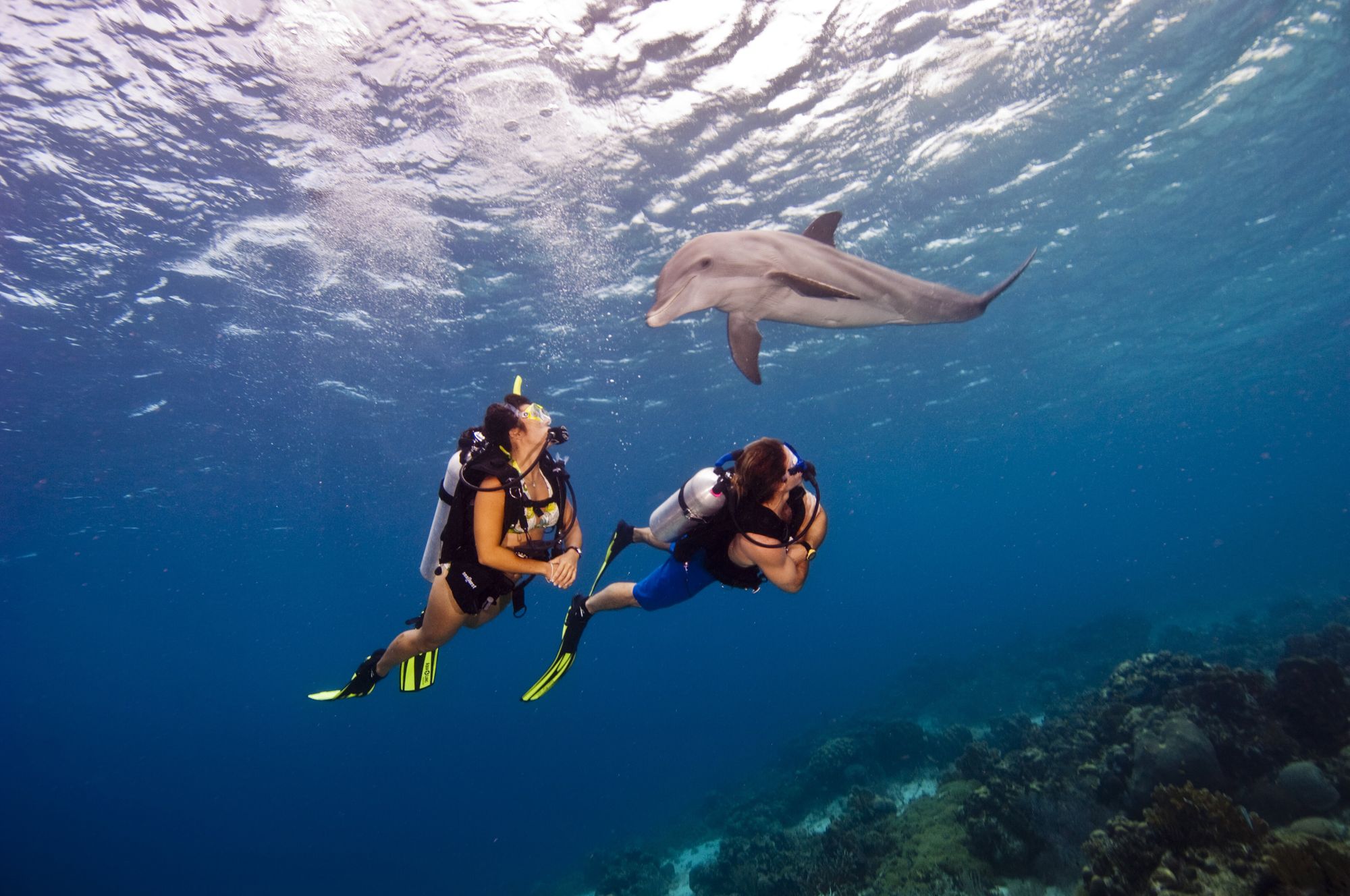 curacao-scuba-diving-sandals-1