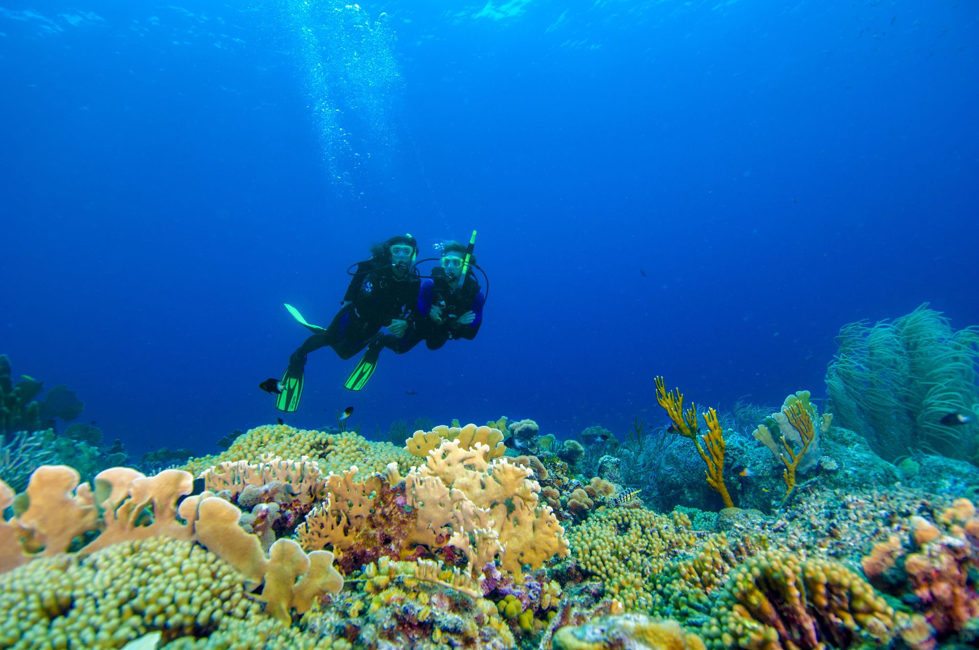 sandals-curacao-scuba-2--1-