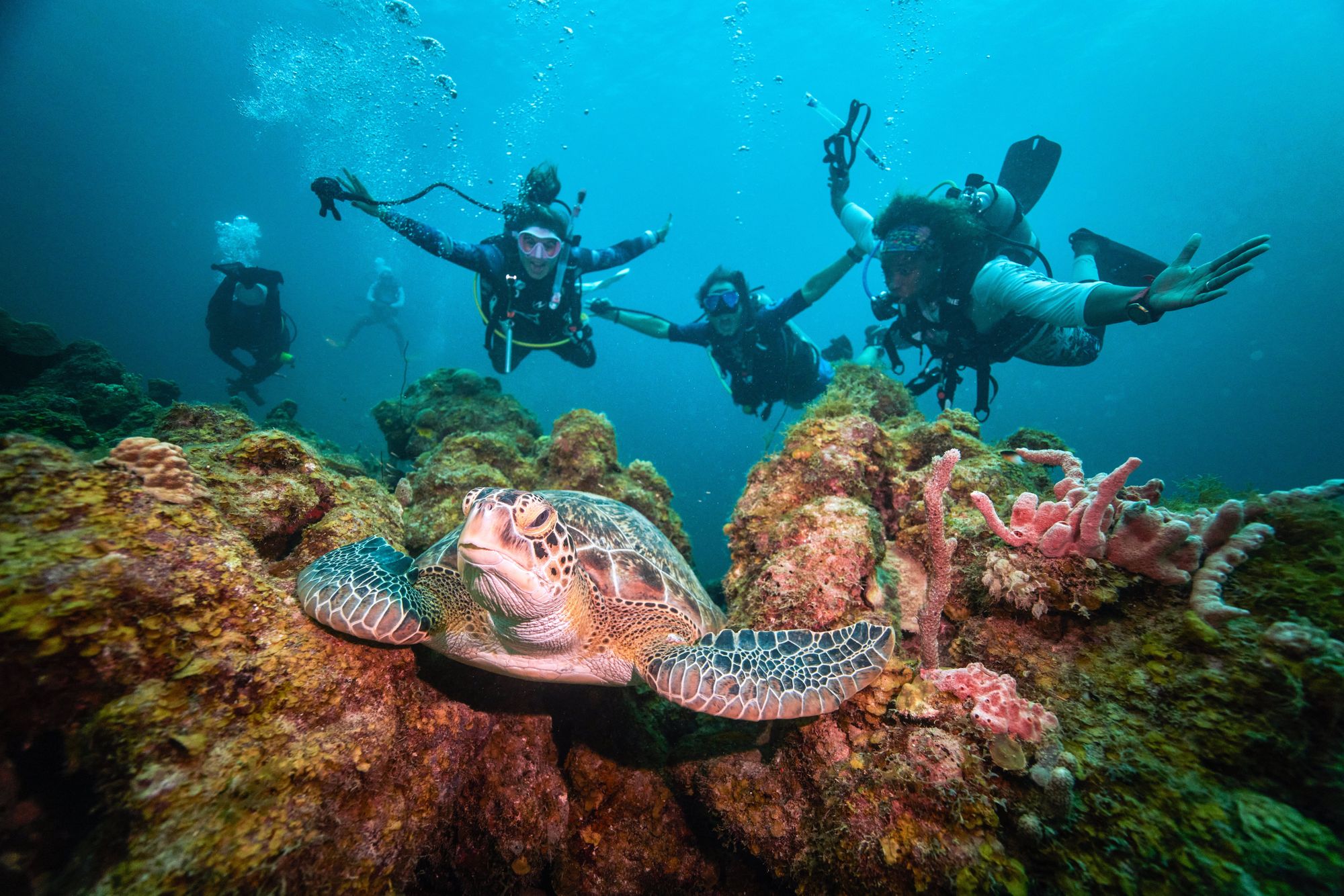sandals-curacao-scuba-4-2