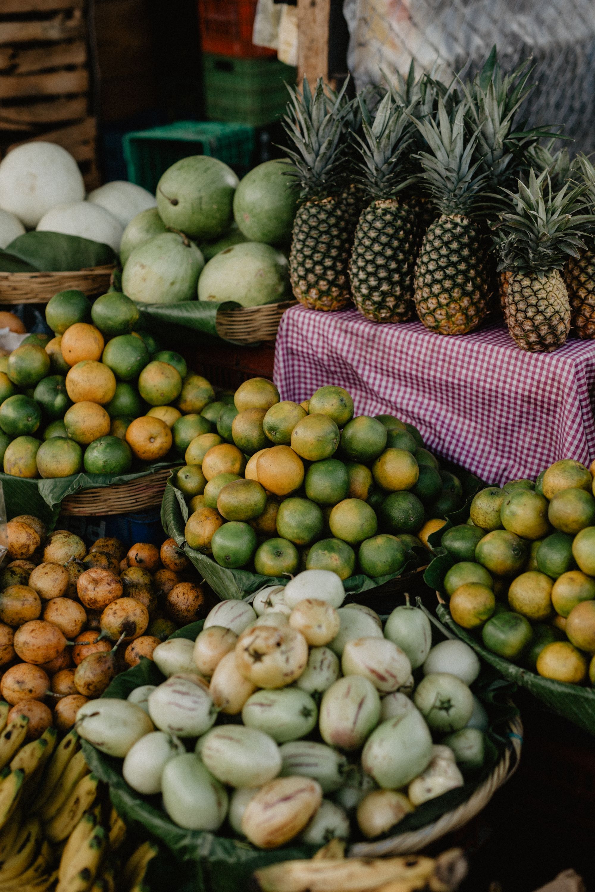 Antigua black pineapple