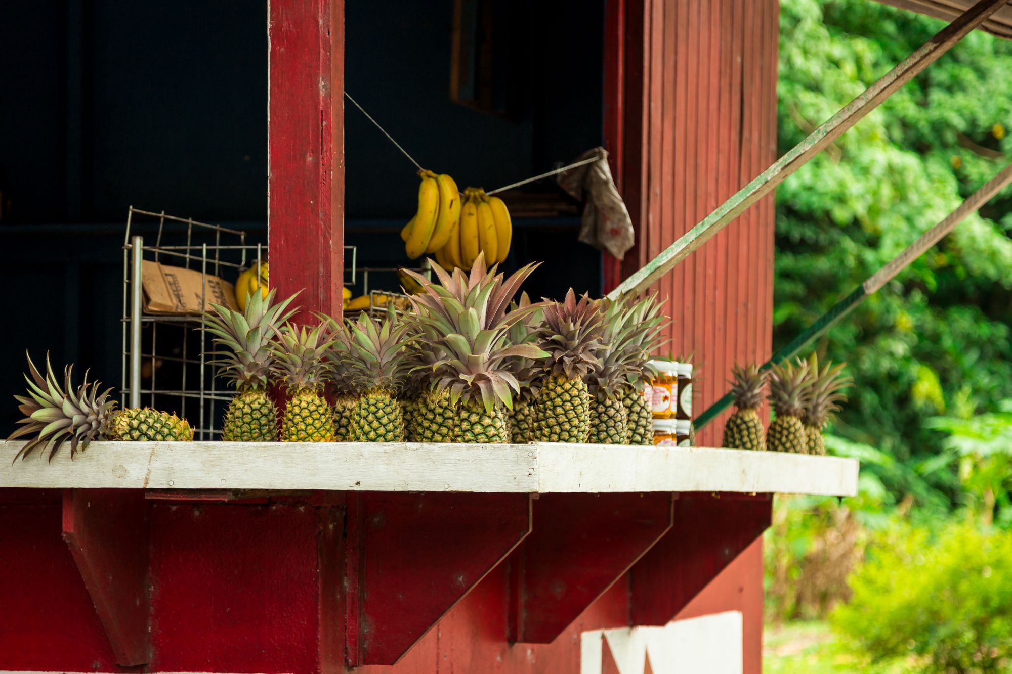 Antigua pineapples