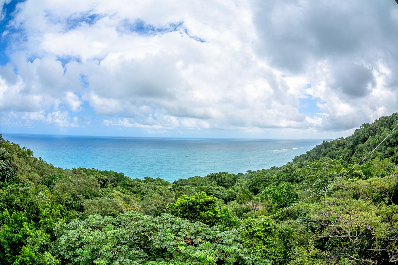 Your Guide to Mystic Mountain Jamaica: Where Rainforest Meets Adventure