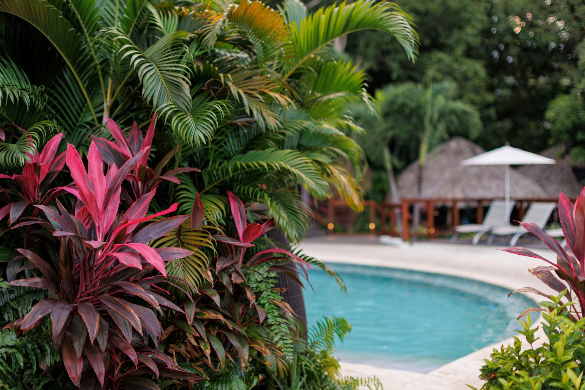JPG-Version-SGO-Grounds-Pool-Detail