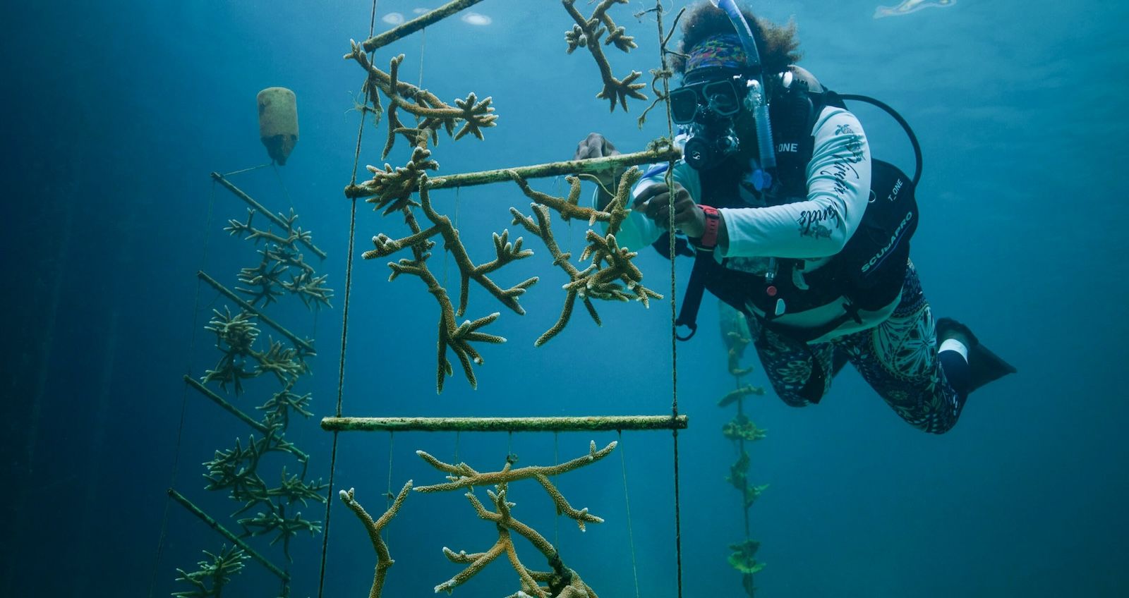 Web-Version-Sandals-Foundation--Environment---Coral-Restoration-11
