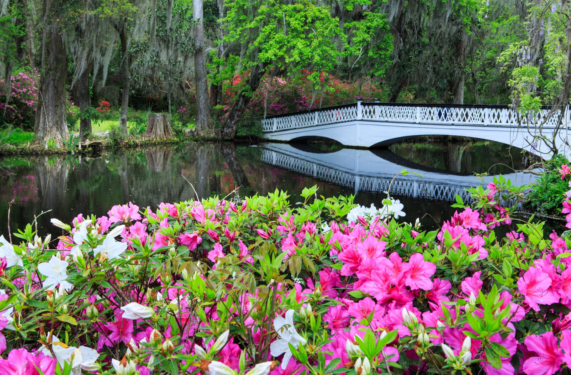 Charleston SC
