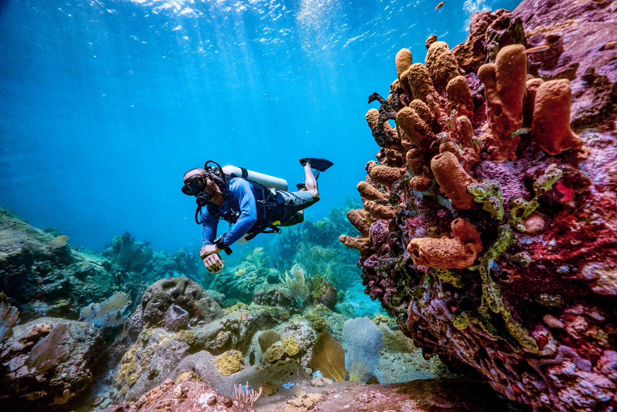 JPG-Version-Saint-Lucia-Scuba-PADI-Diver-Over-Corals-8