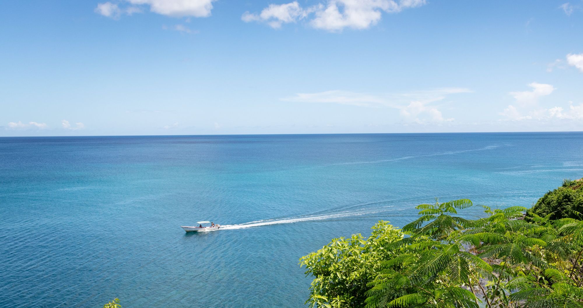 Web-Version-Caribbean-Grounds-Ocean-Boat