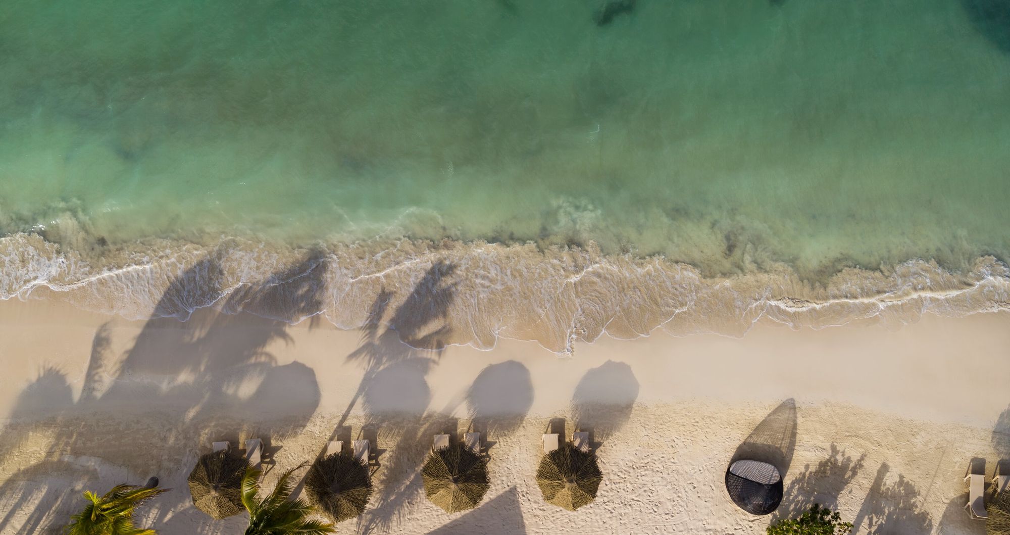 Web-Version-SNG-Drone-Beach-Shore-Birds-eye