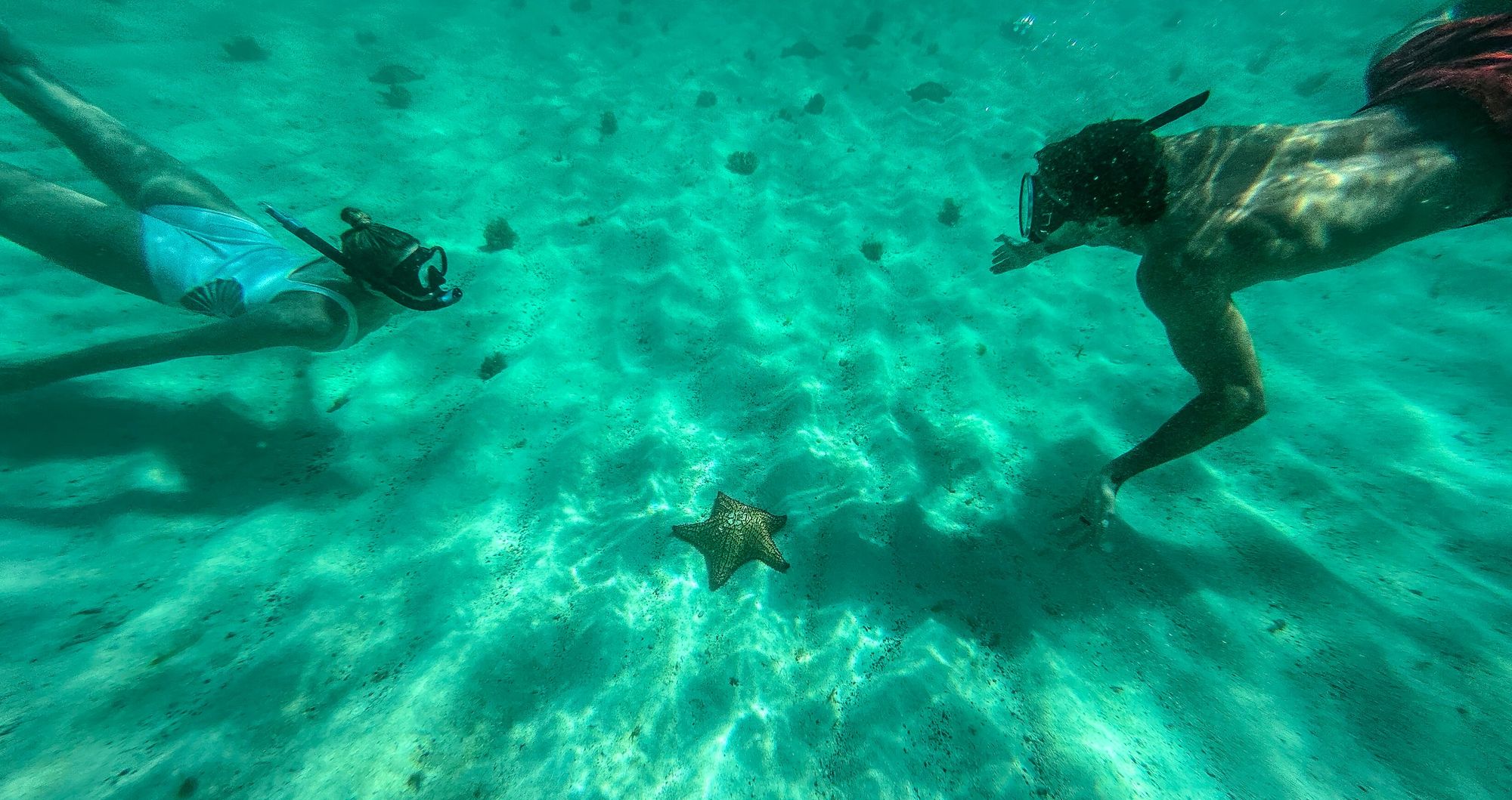 Web-Version-SSV-Destination-Couple-Snorkeling-Starfish-1-1