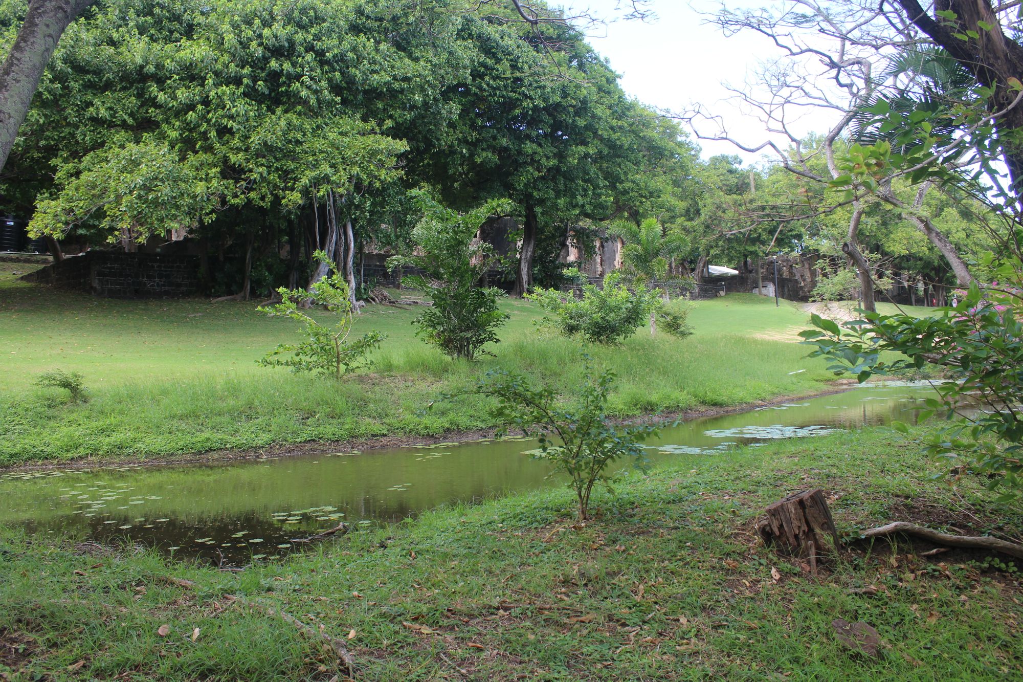pigeon-island-greenery-saint-lucia