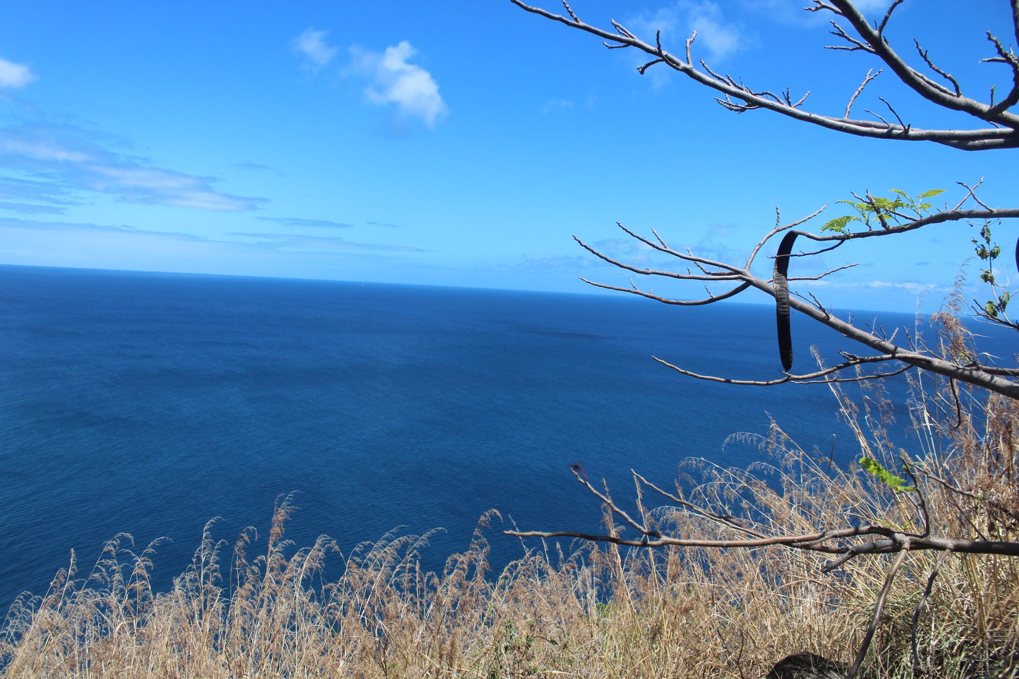 views-from-pigeon-island