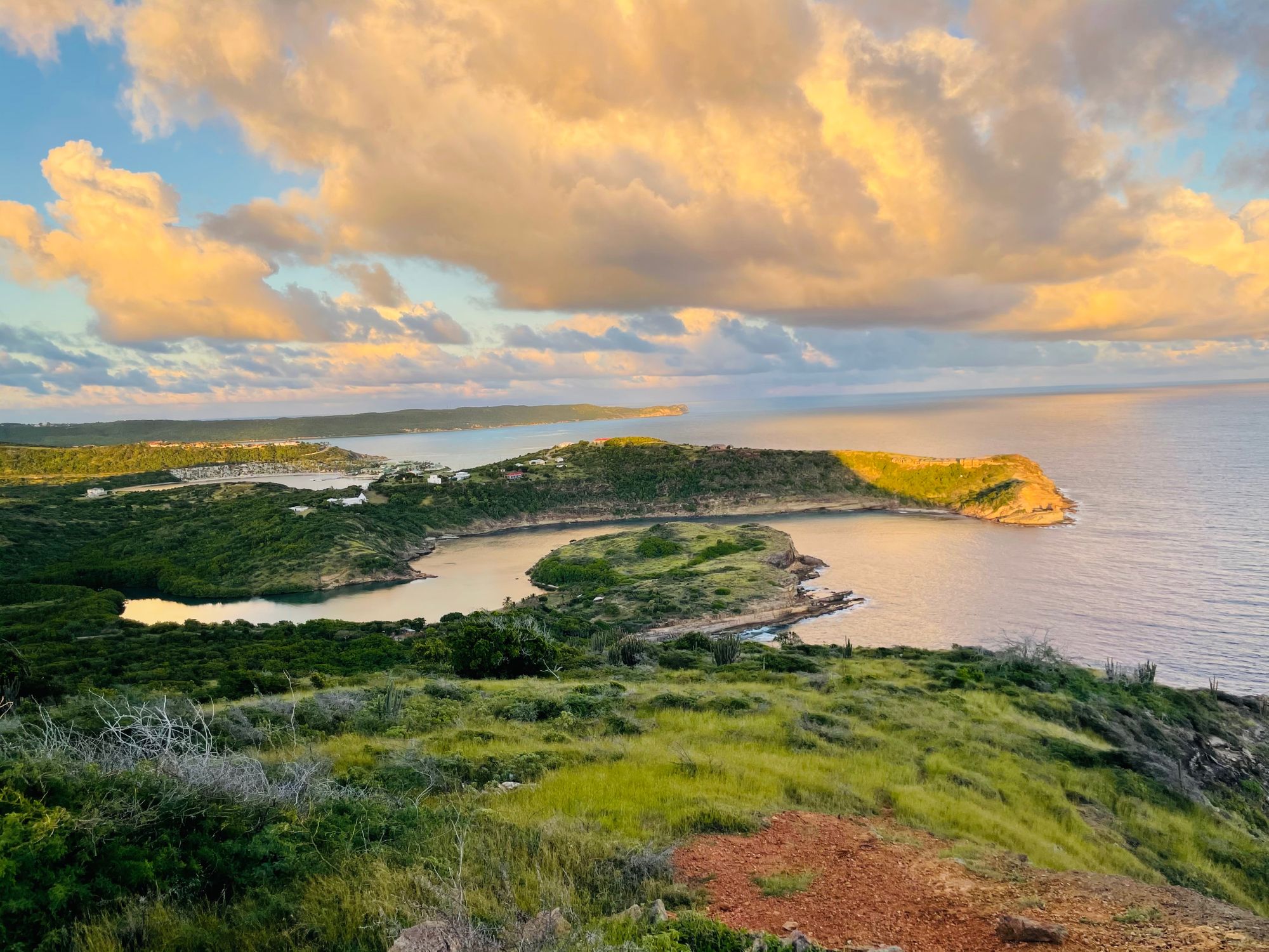 shutterstock_2507150607-1