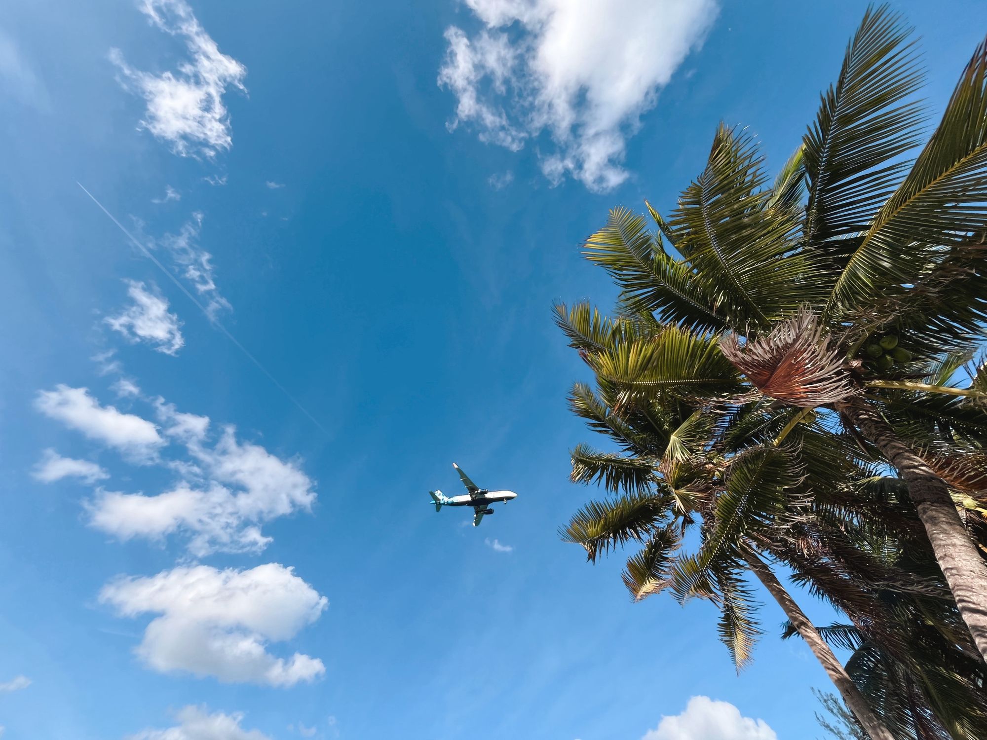 shutterstock_2536944463