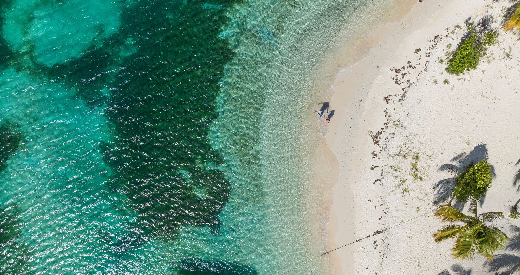 Web-Version-SSV-Destination-Tobago-Beach-Birds-eye-3